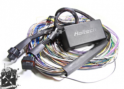 Моторная проводка Haltech